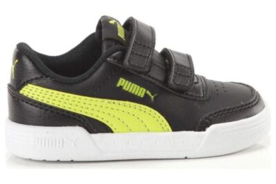 puma caracal 370531 05